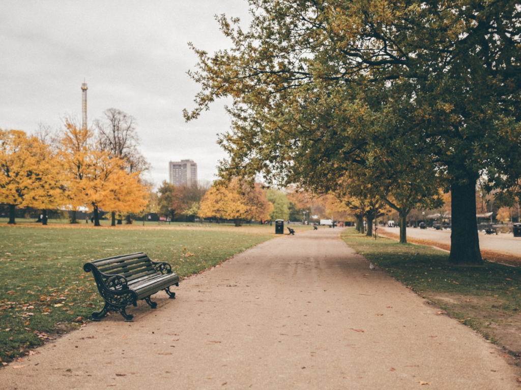 discover London's famous Royal Park: Hyde Park