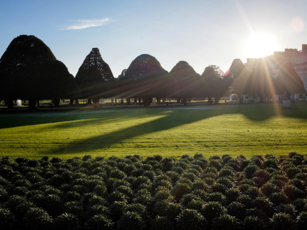 Explore the park in hampton court palace grounds