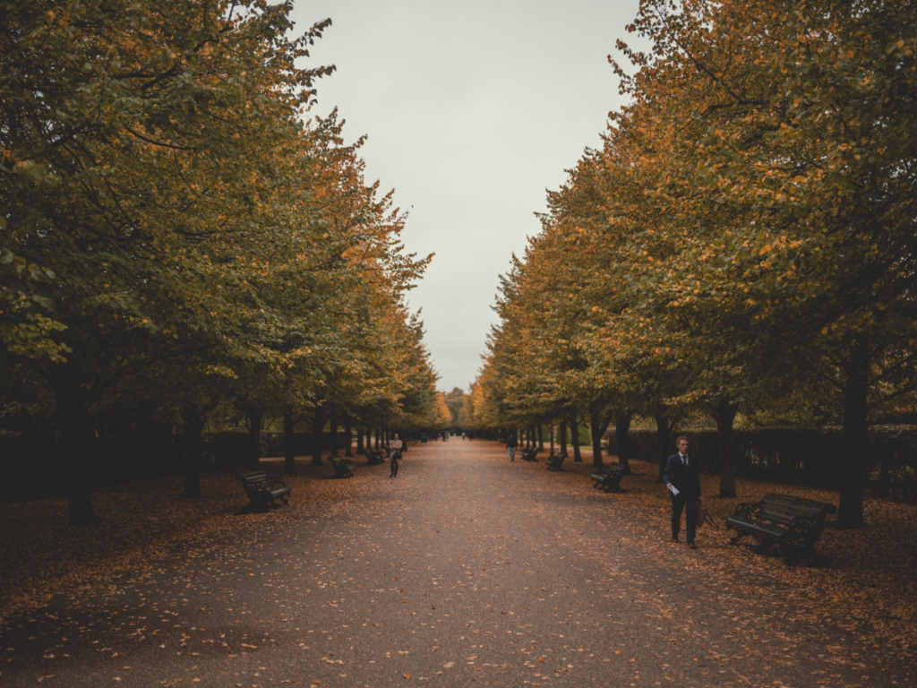 Discover the greenery of North London in Regent's Park