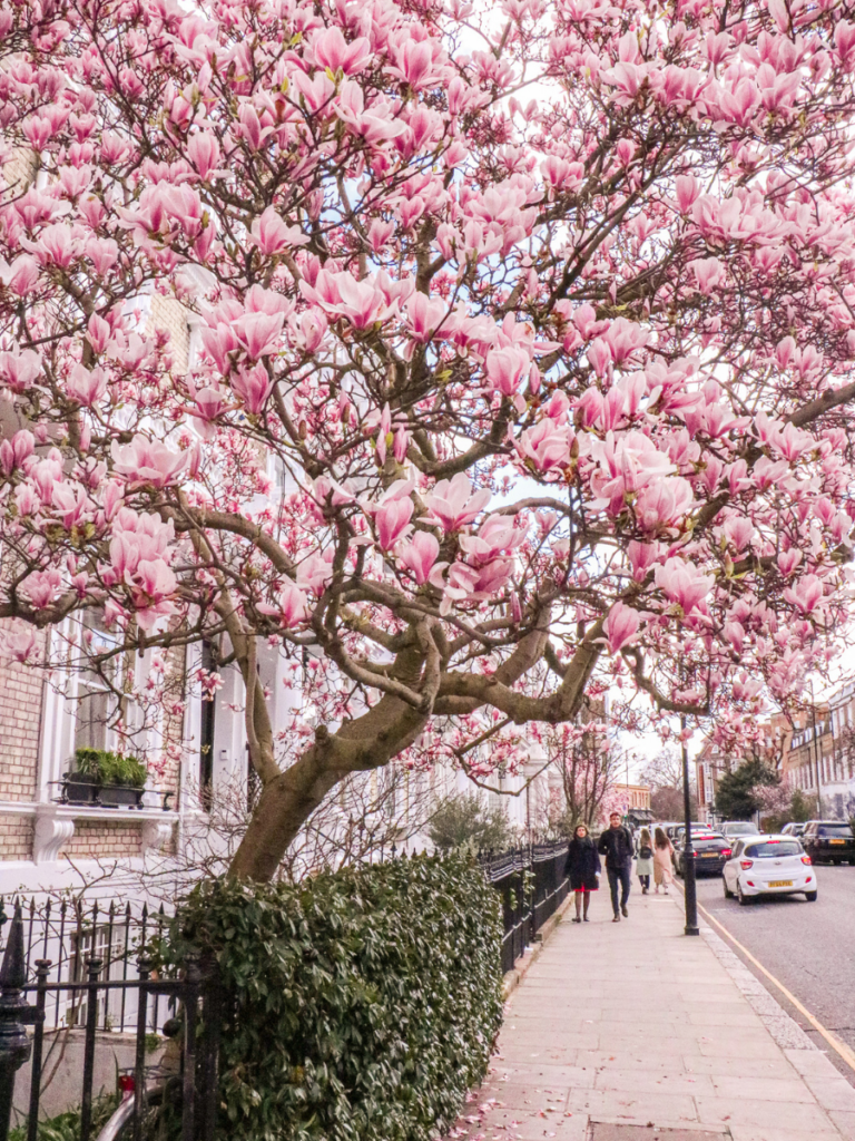 take a floral stroll in london