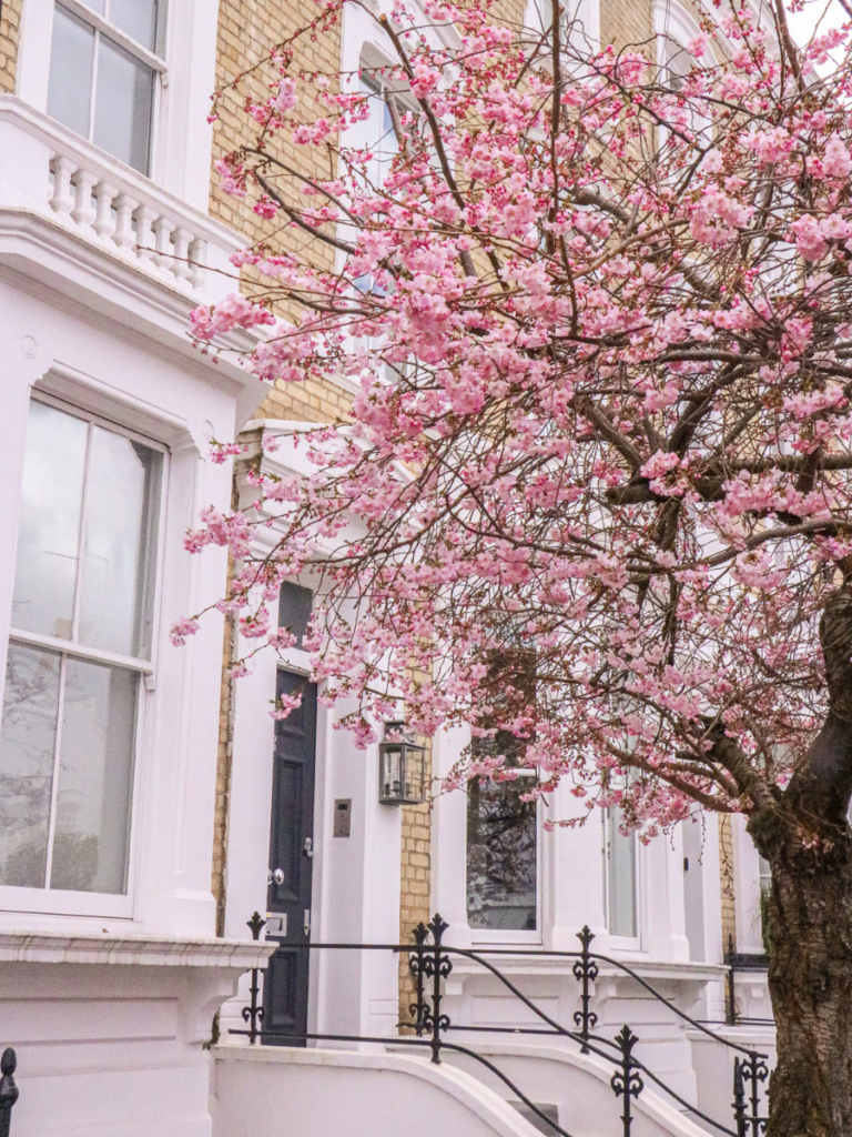 Floral London: A Guide to Seeing the City in Bloom - The London Eats List