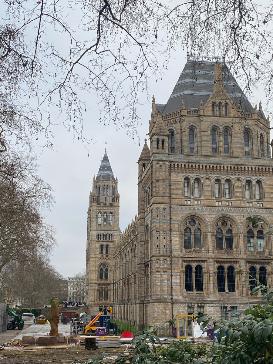 the beautiful natural history museum