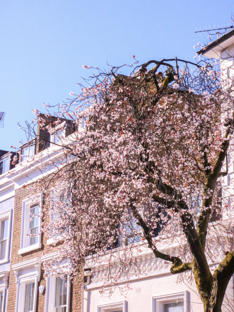 Notting Hill The Ultimate Neighbourhood Guide The London Eats List