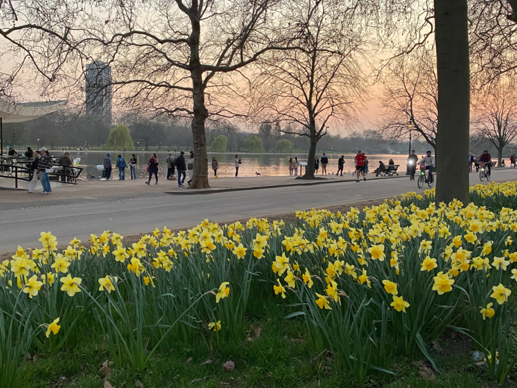 The serpentine is the perfect place for a romantic stroll 