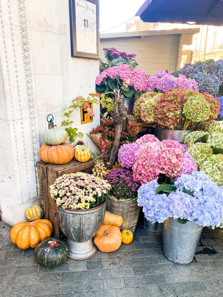 Elizabeth Street is the perfect spot to spend an afternoon shopping in Belgravia