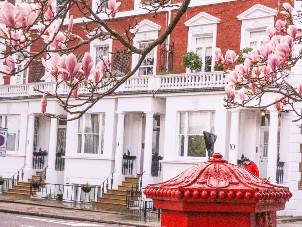 old fashioned post box with magnolia peeping into shot