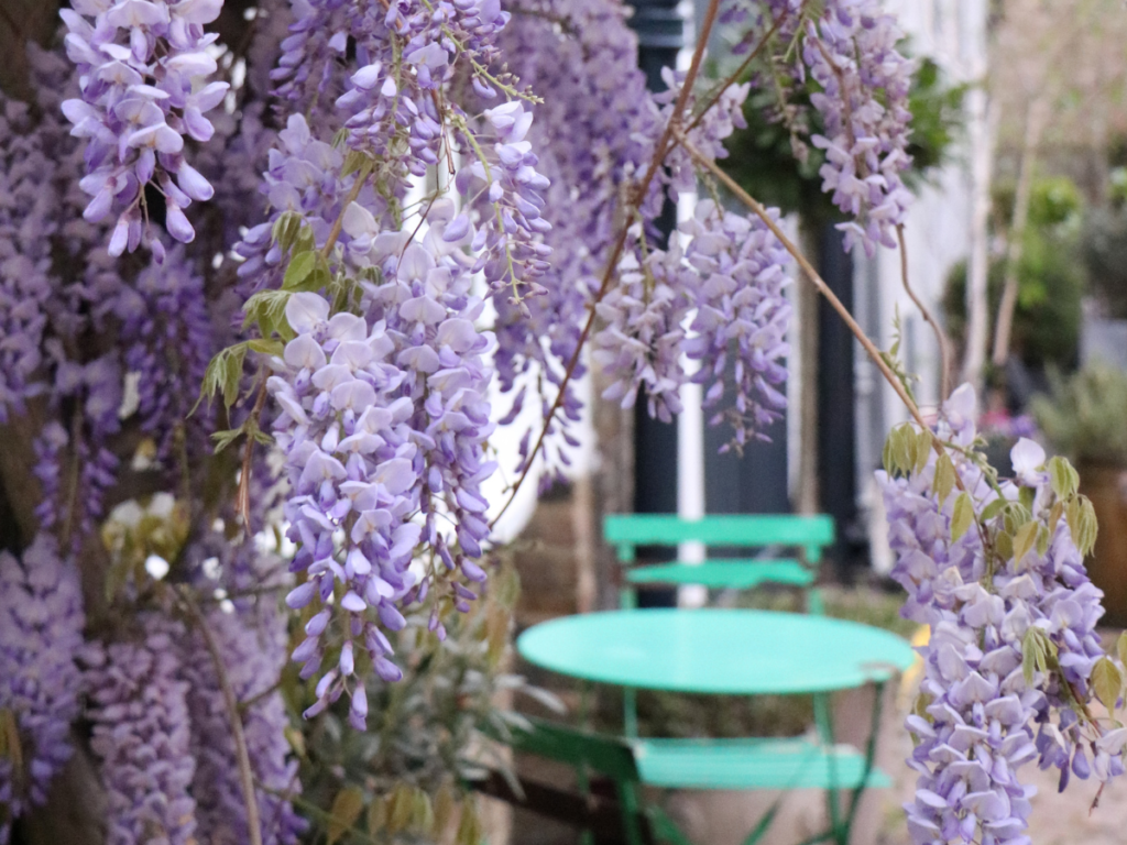 the best places to see spring flowers in London