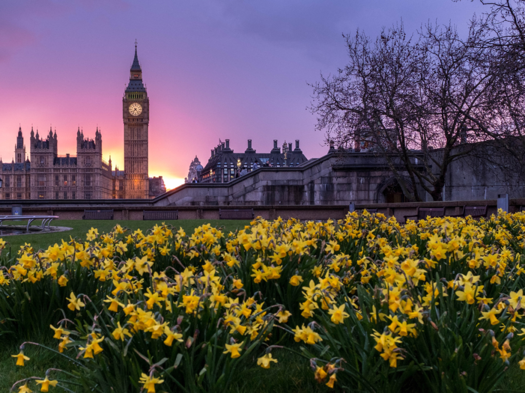 taking a stroll along the banks of the thames in London is the perfect place to find daffodils 