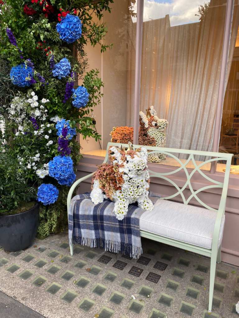 Bodea on Pimlico Road's floral corgis in 2022