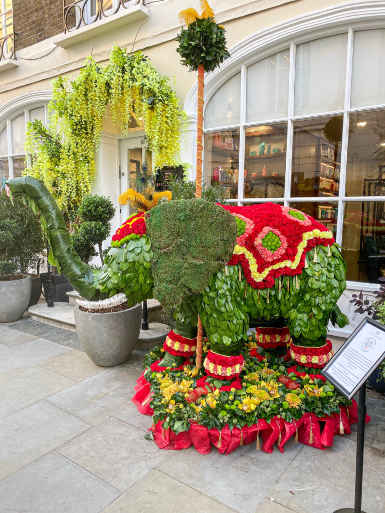 The theme for 2023's Belgravia in Bloom is Into the Wild