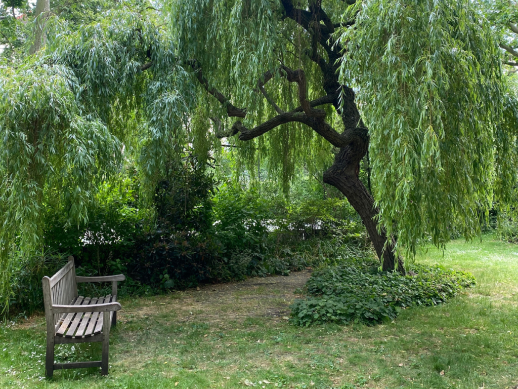 take a peaceful rest in Pimlico's garden squares
