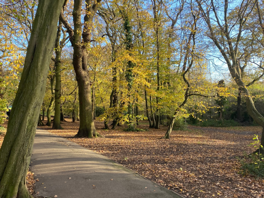 The trees boast orange and red tones in autumn in london