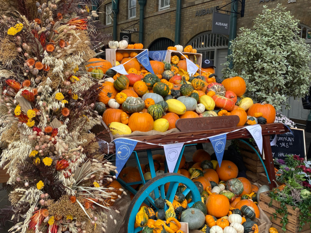 Covent Garden pumpkin picking