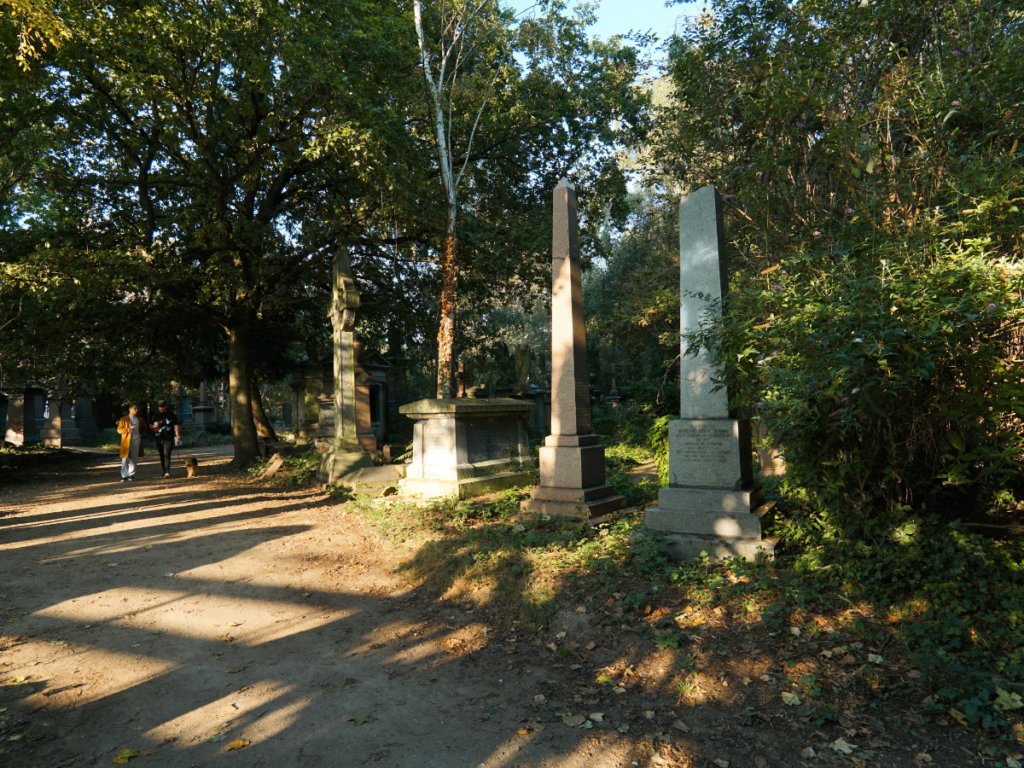 Take an autumnal stroll through Abney Park Cemetery