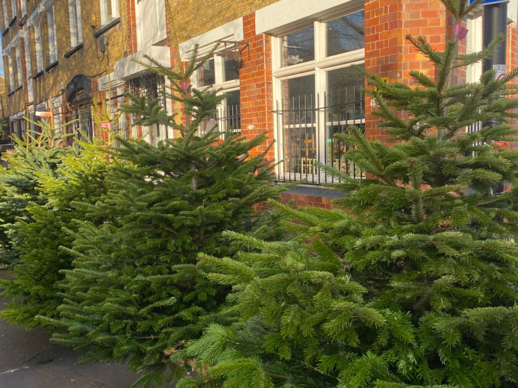 Pick up your Christmas tree from one of London's flower markets
