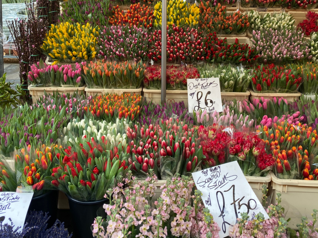 Pretty flowers at Columbia Road Sunday market