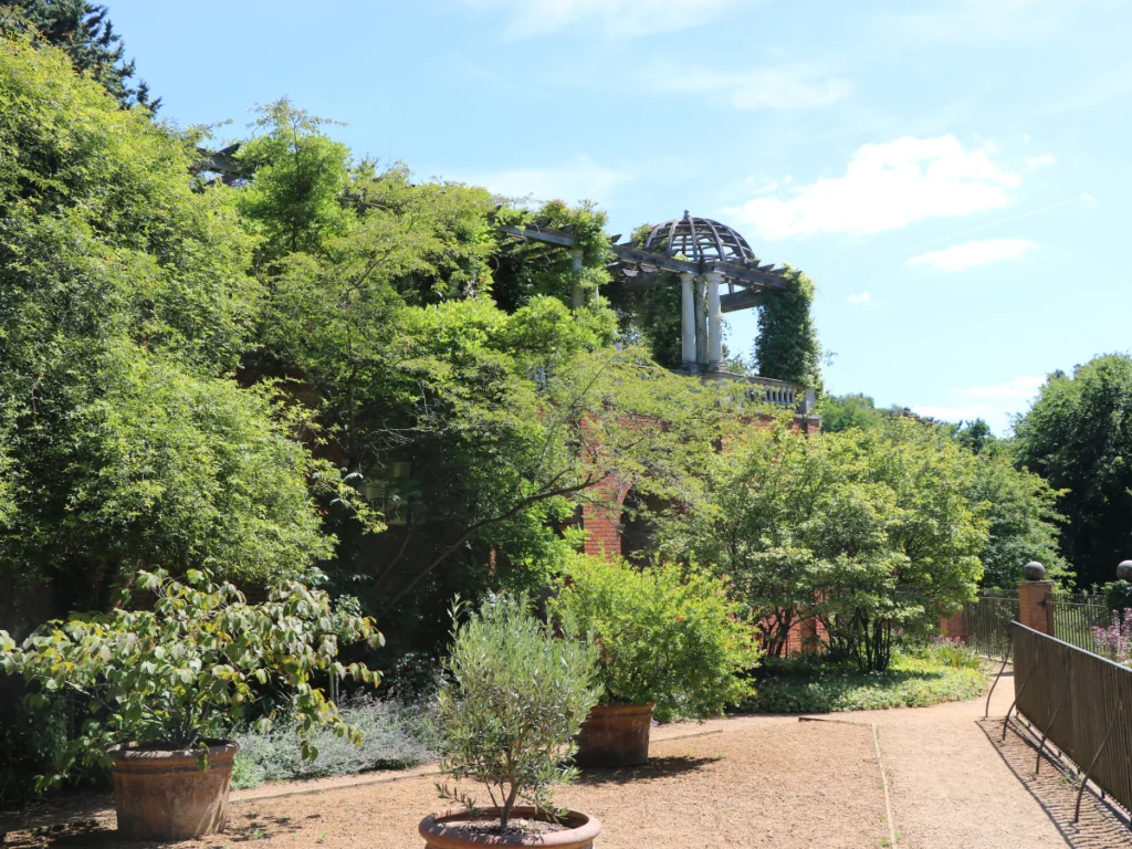 A pergola engulfed with greenery