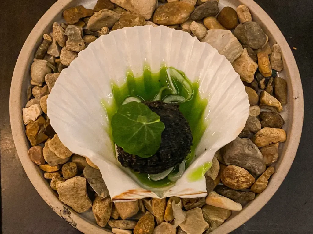 A large white shell sat on pebbles, with a green ball of arancini covered in green sauce